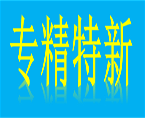 专精特新申请去哪办理 